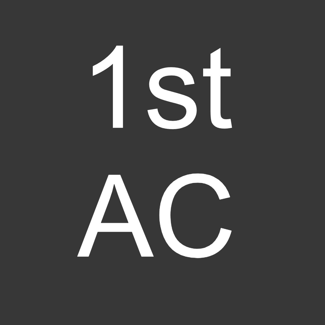 LANE LUPER – IATSE 600