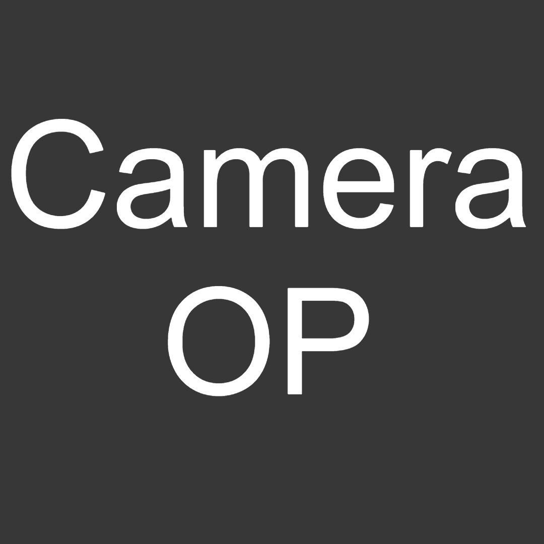 CHRIS TAYLOR – IATSE 600